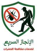 الإنجاز السريع